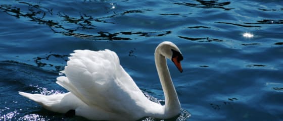Royal Swan របស់ Ainsworth Gaming៖ ការពិនិត្យឡើងវិញពេញលេញ
